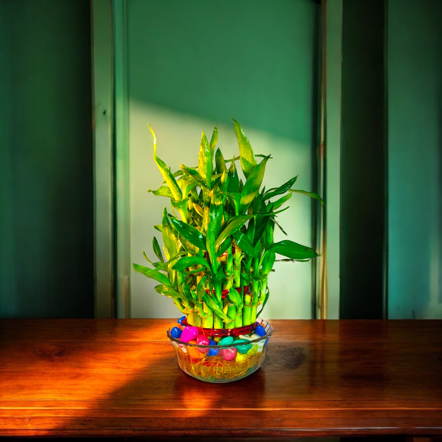 Lucky Bamboo 3 Layer Feng Shui Plant (Green Color) With Bowl | Lucky Bamboo Plant